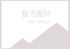 偃师白山机械有限公司